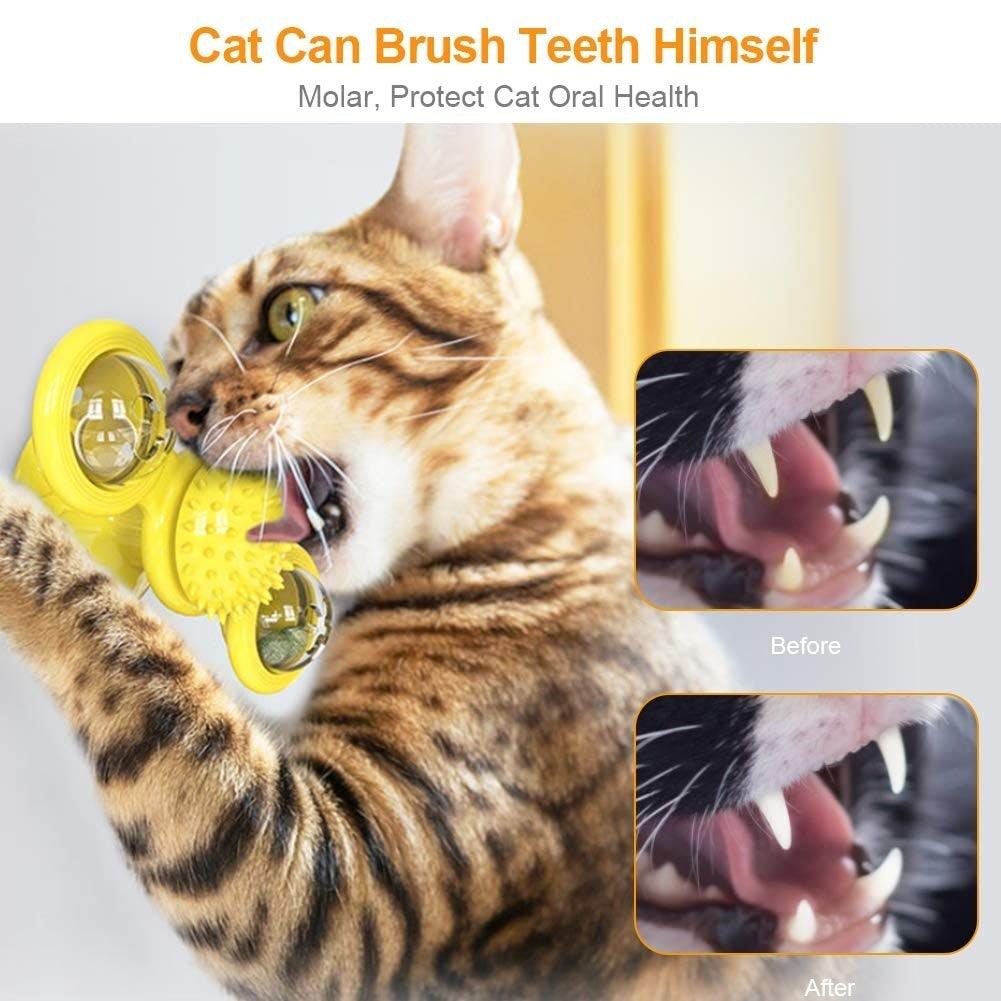 Interactive Cat Windmill Toy with Grooming Brush