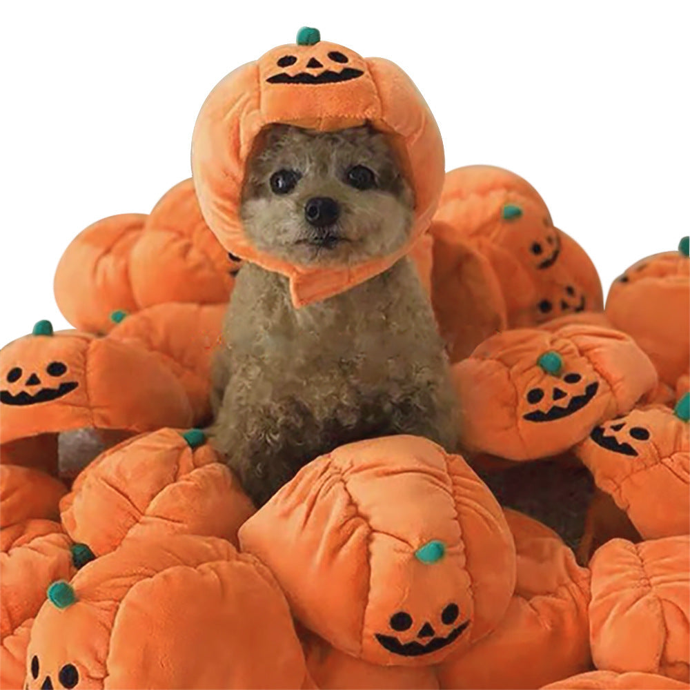 Pumpkin Hat for Cats & Small Dogs