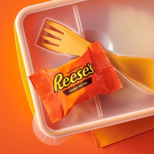 Reeses Milk Chocolate Snack Size Peanut 13.75 Oz 25 Pieces