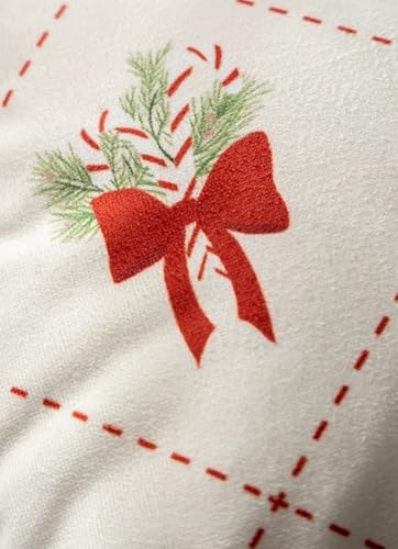 Fennco Styles Christmas Velvet Throw Pillow