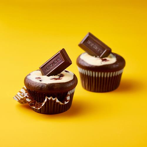 Hersheys Special Dark Miniatures Assorted Dark 10.1 Oz