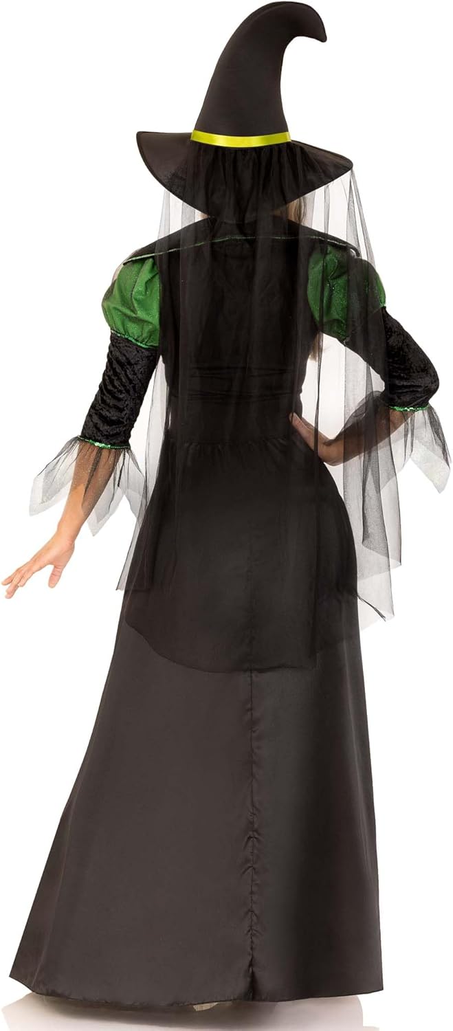 Women's Storybook Witch Dress & Hat Costume