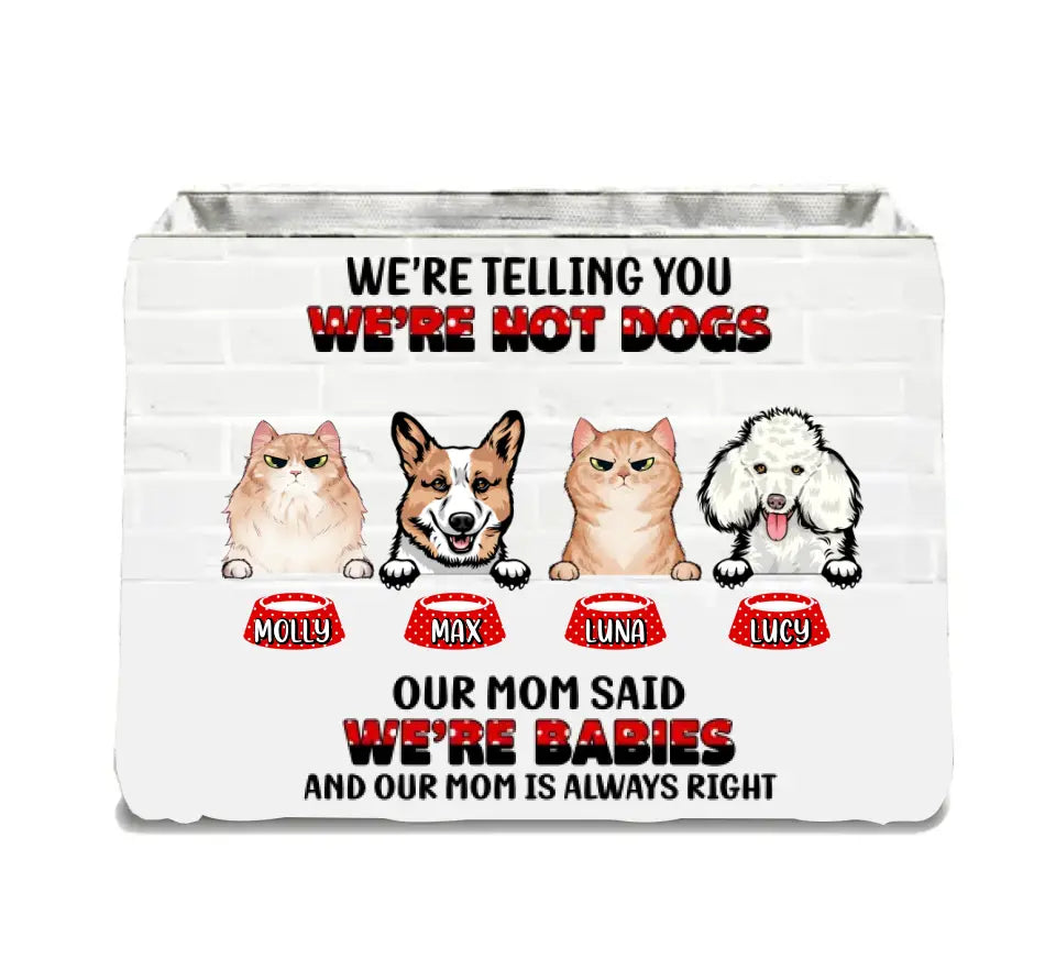 Personalized Pets Storage Box - Up to 4 Dogs/Cats - Gift Idea for Pet Lovers - Our Mom Said Were Babies