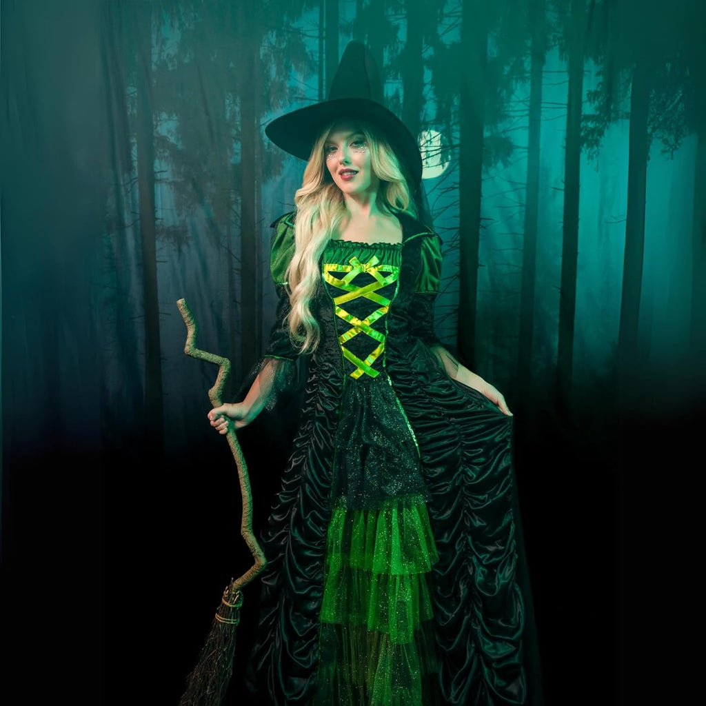 Women's Storybook Witch Dress & Hat Costume