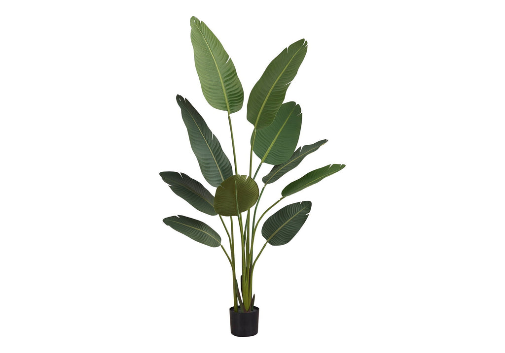 60" Tall, Artificial Plant, Bird Of
