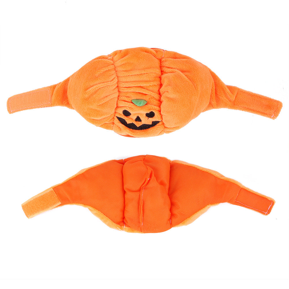 Pumpkin Hat for Cats & Small Dogs