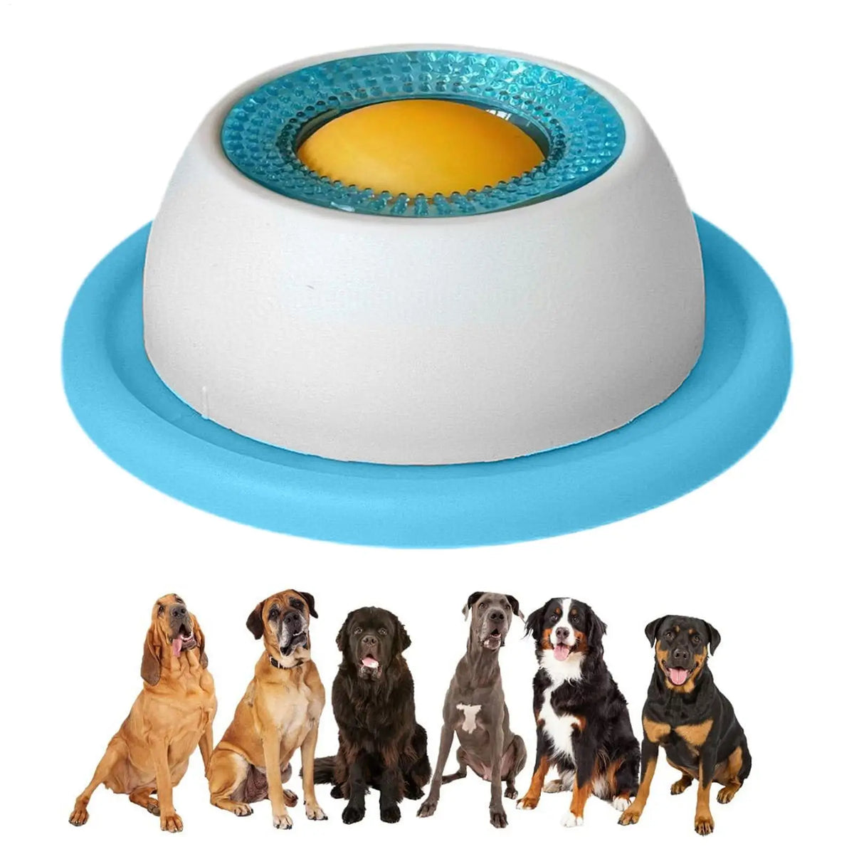 Dog Treat Puzzle & Slow-Feeder Toy