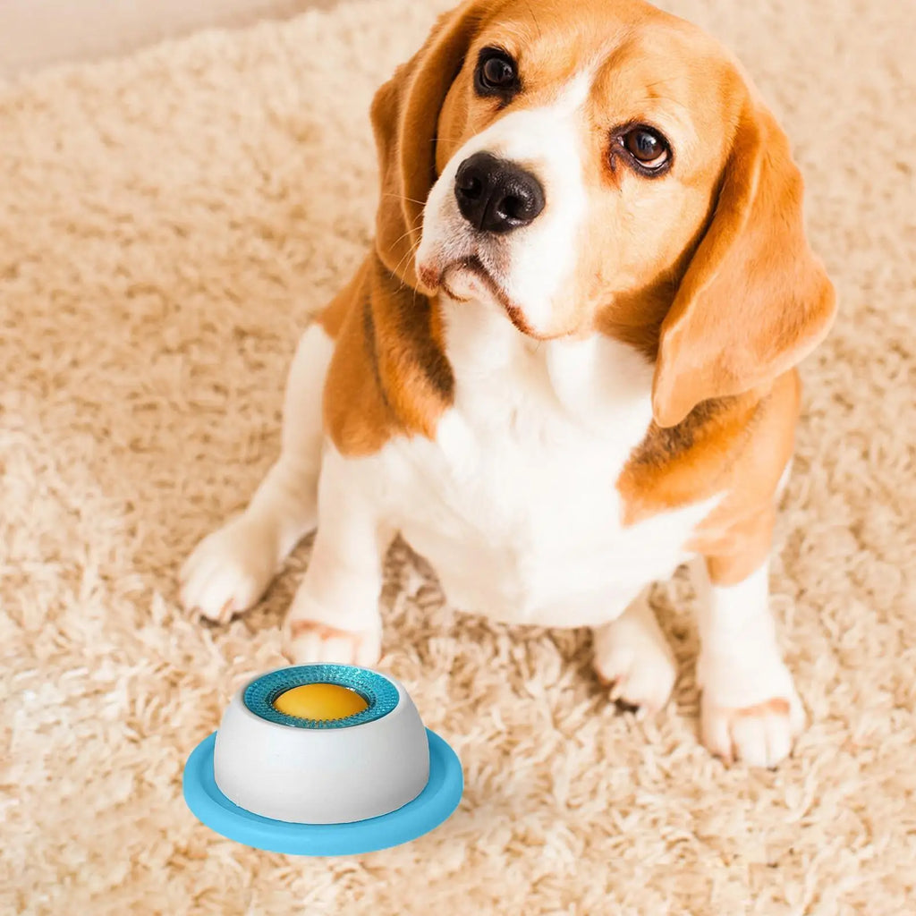 Dog Treat Puzzle & Slow-Feeder Toy