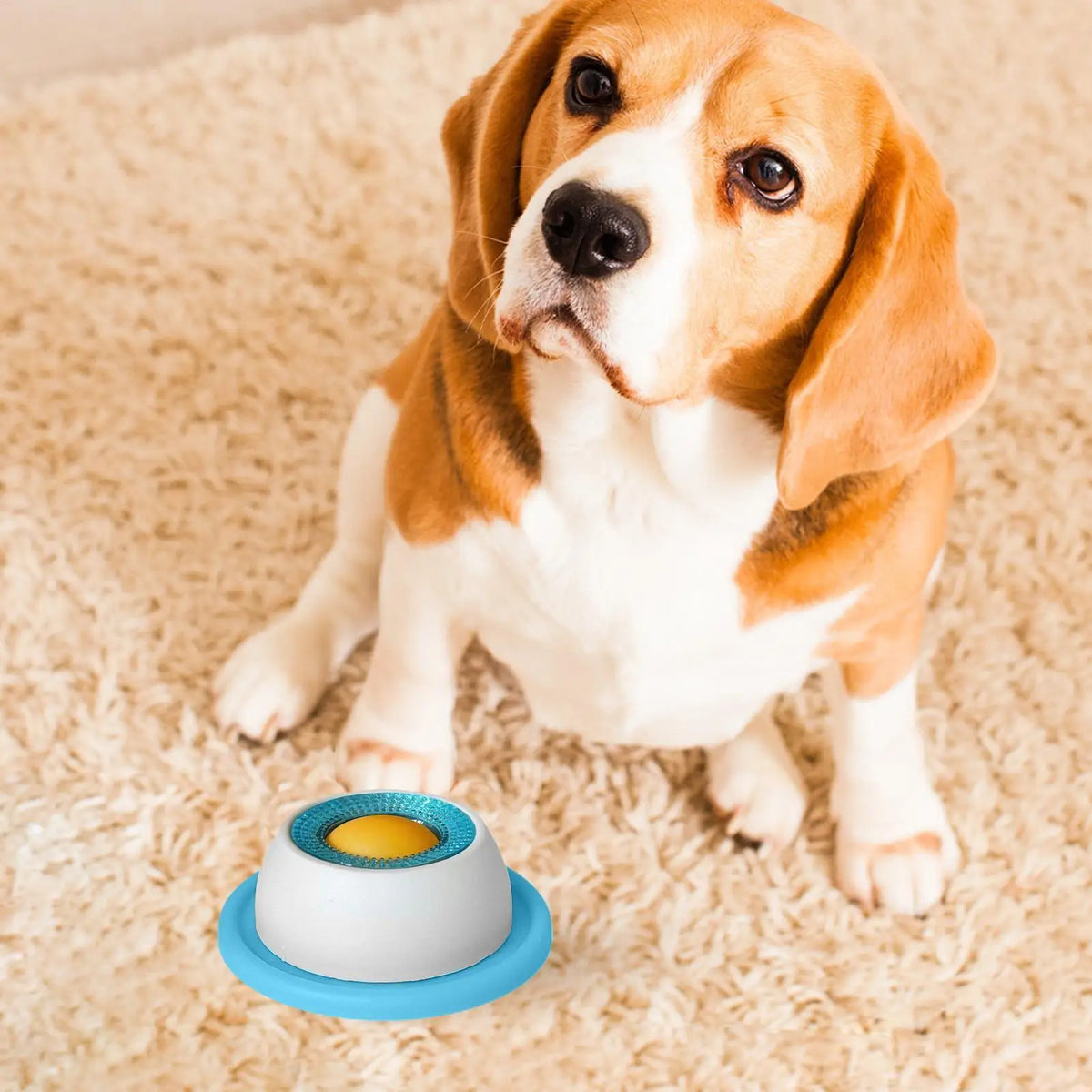 Dog Treat Puzzle & Slow-Feeder Toy