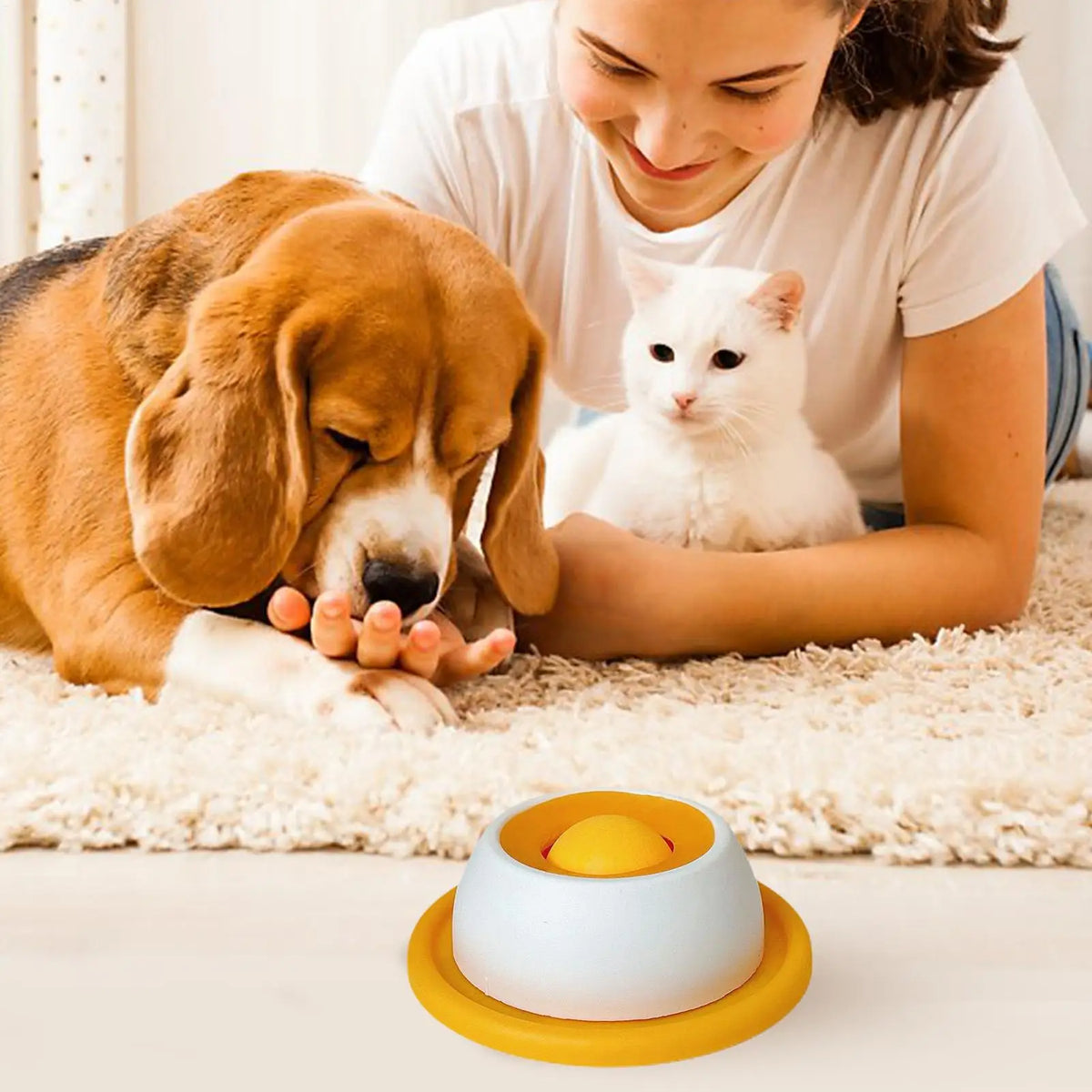Dog Treat Puzzle & Slow-Feeder Toy