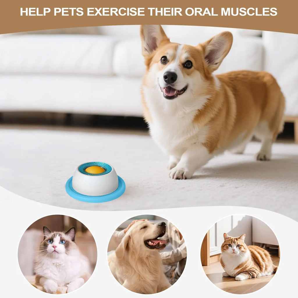 Dog Treat Puzzle & Slow-Feeder Toy