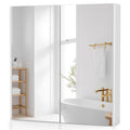 Mirrored Bathroom Wall Cabinet with Adjustable Shelf