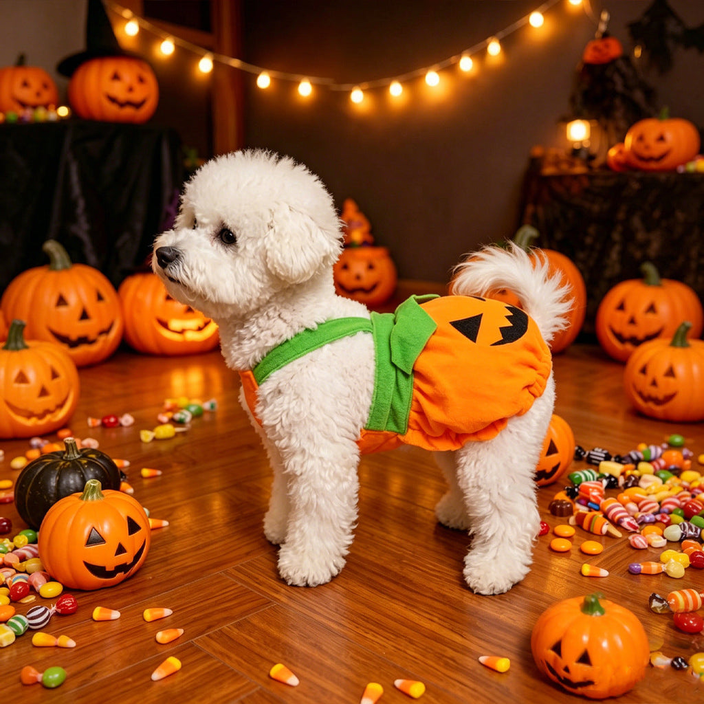 Pumpkin Harness Dress for Small Dogs & Cats