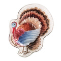 Hand-Painted Glass Turkey Platter, 12 in