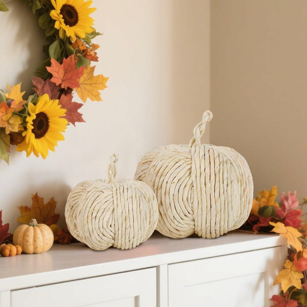 WINEMANA White Woven Pumpkin Decor, Set of 2