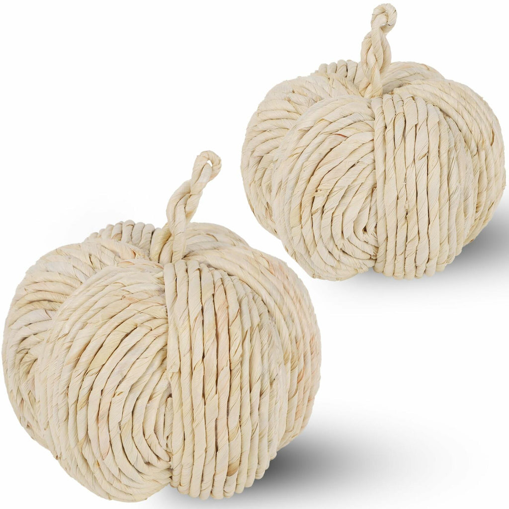 WINEMANA White Woven Pumpkin Decor, Set of 2