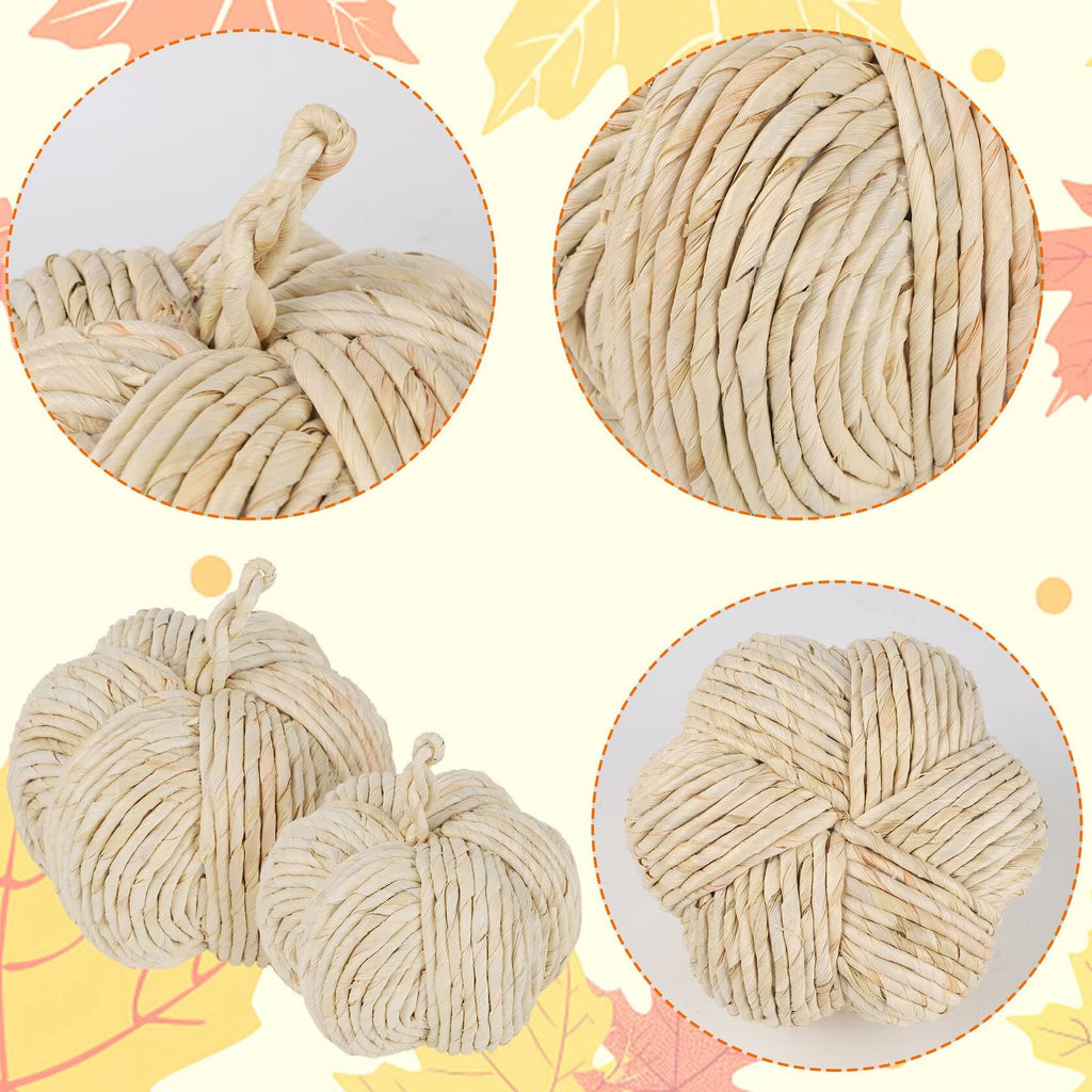WINEMANA White Woven Pumpkin Decor, Set of 2