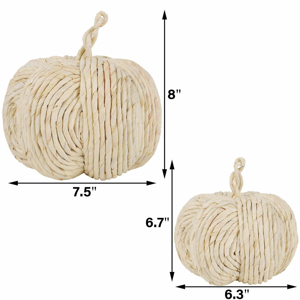 WINEMANA White Woven Pumpkin Decor, Set of 2