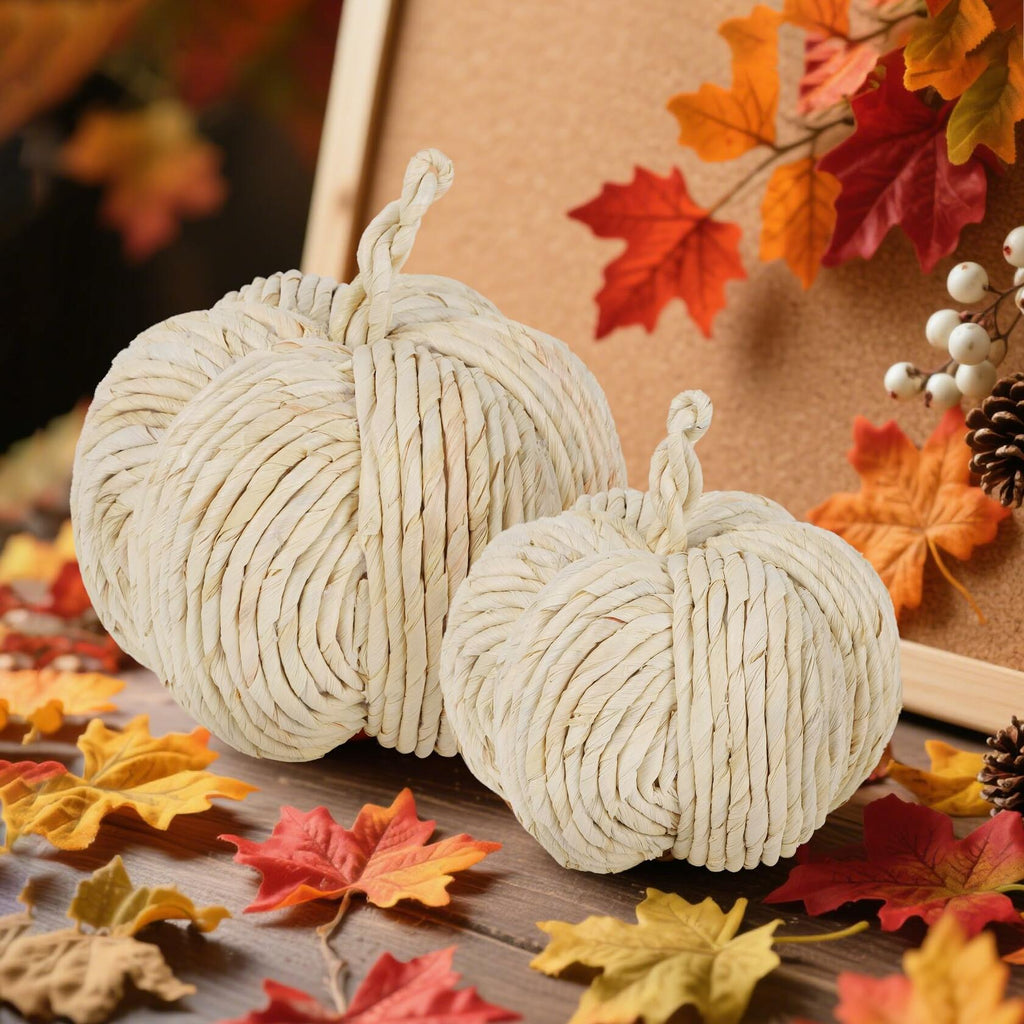 WINEMANA White Woven Pumpkin Decor, Set of 2