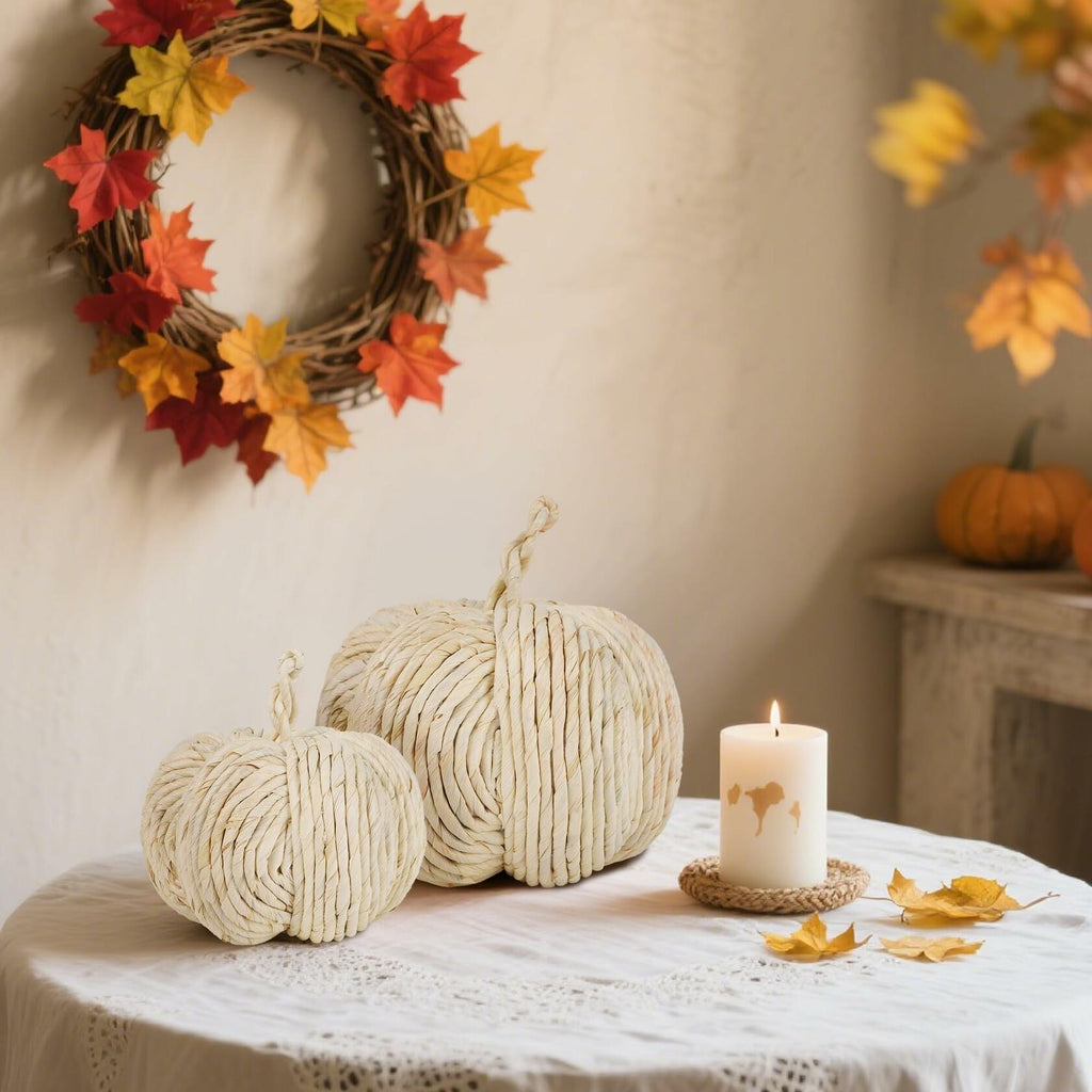 WINEMANA White Woven Pumpkin Decor, Set of 2