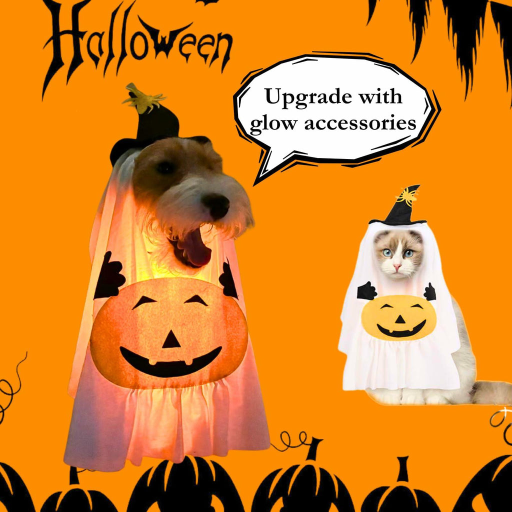 Pumpkin Ghost Pet Costume, Medium