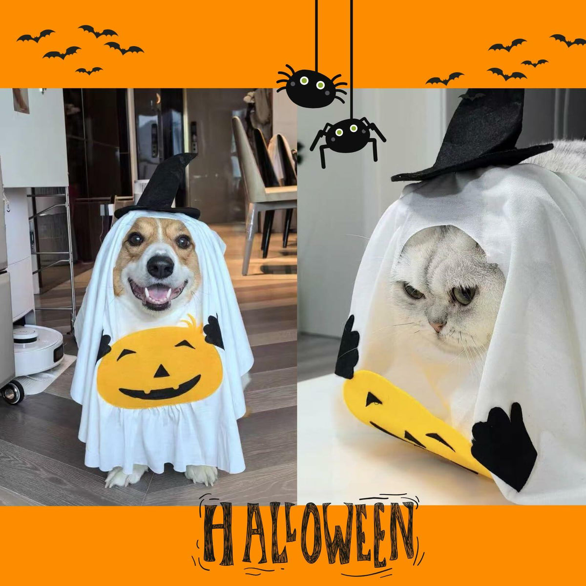 Pumpkin Ghost Pet Costume, Medium