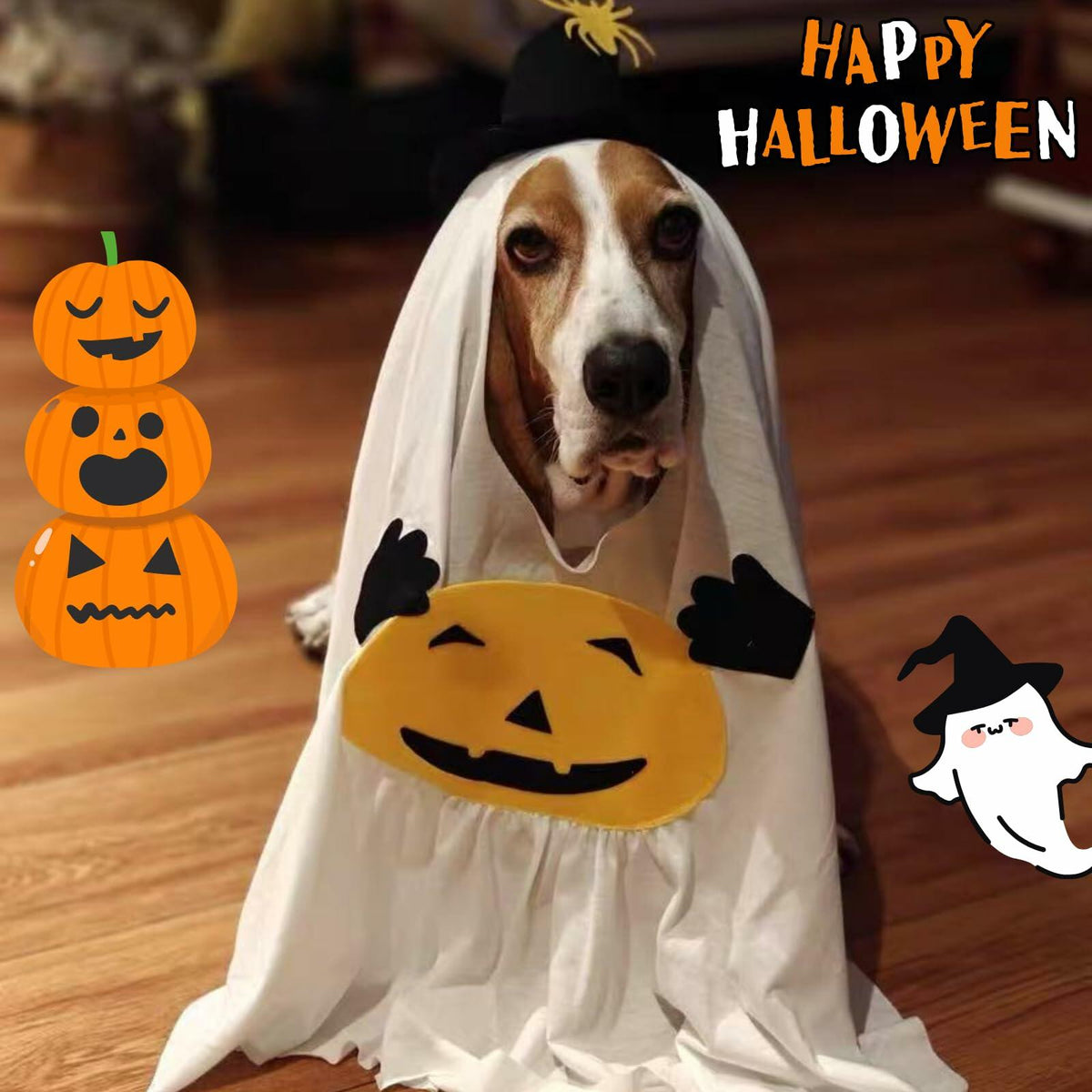 Pumpkin Ghost Pet Costume, Medium