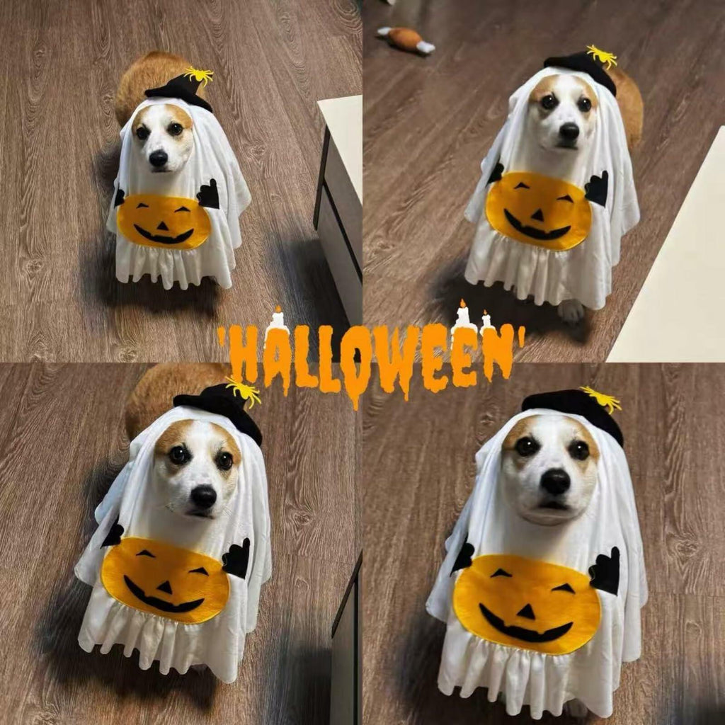 Pumpkin Ghost Pet Costume, Medium