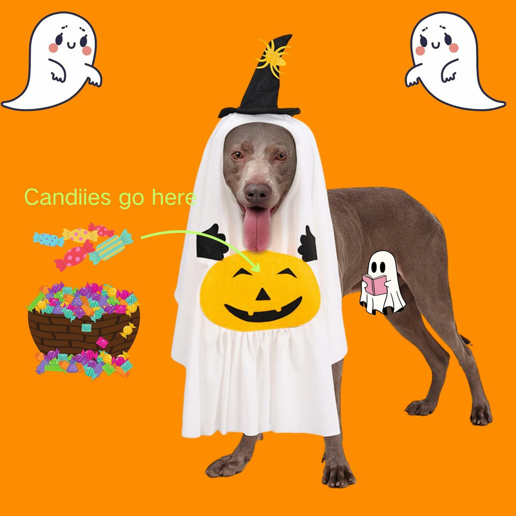 Pumpkin Ghost Pet Costume, Medium